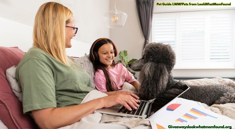 Pet Guide LWMFPets from LookWhatMomFound: Simple and Practical Tips for Happy Pets